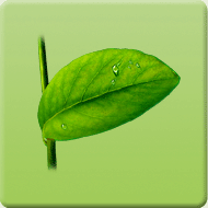 �������